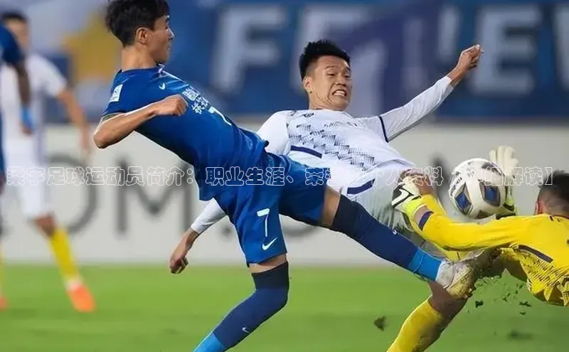 星欧娱乐下载官网百度翻译梁宇足球运动员简介：职业生涯、荣誉和个人资料【详细解读】