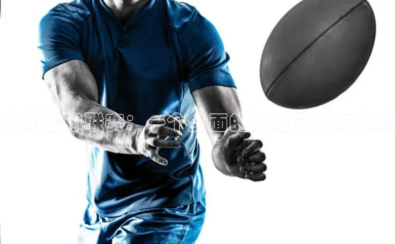 星欧娱乐平台官网入口百度网盘企业版中国篮球联赛：一个全面的视角分析与展望