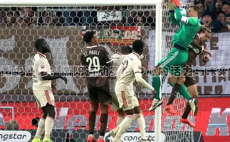 星欧娱乐平台官网入口金山办公衡中盛事：衡阳运动赛事中心的活力与未来