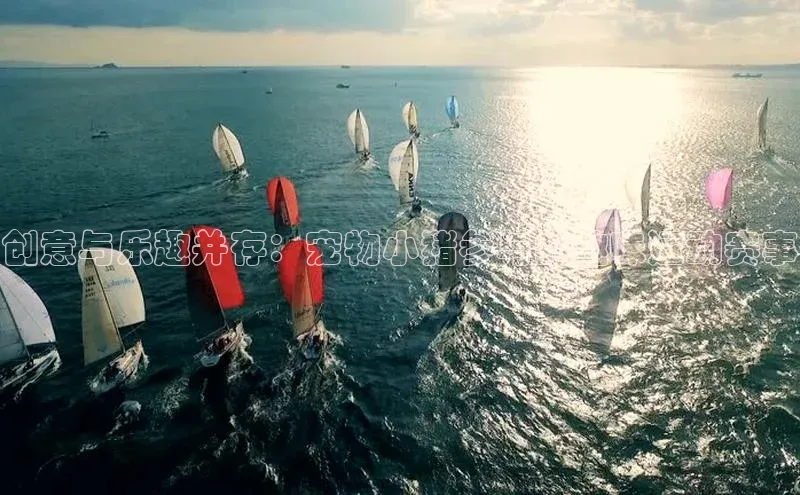 创意与乐趣并存：宠物小猪参与的趣味运动赛事