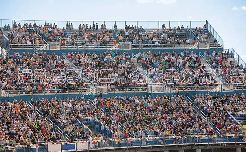 ：运动赛事前二十名选手分析报告