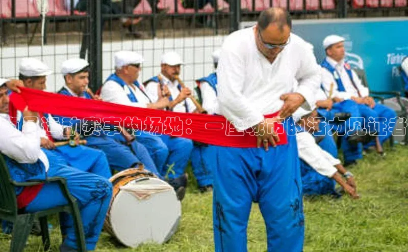 南昌运动赛事的场地：一座城市的活力见证者