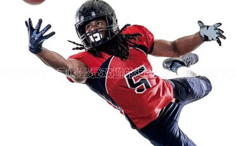 冠军之路：美国最受欢迎的运动赛事背后的故事