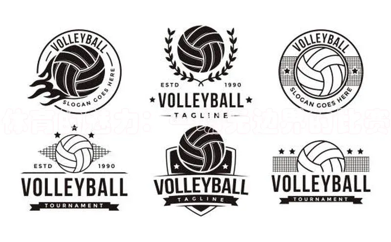 体育的魅力：一场无边界的比赛