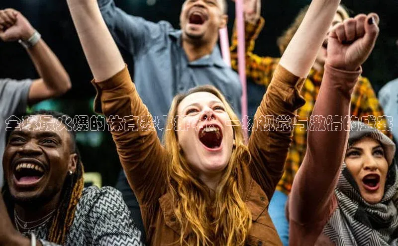 全球最火爆的体育赛事排名：一场视觉与激情的盛宴