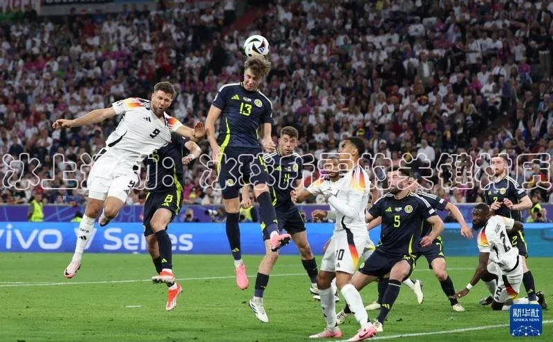 冰上运动：冰球所需的关键材质