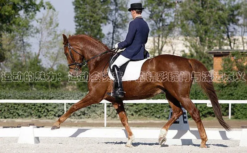 运动的魅力：运动会赛事中的精彩瞬间与深远意义