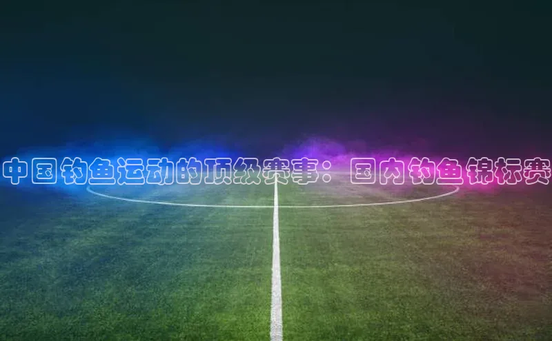 中国钓鱼运动的顶级赛事：国内钓鱼锦标赛