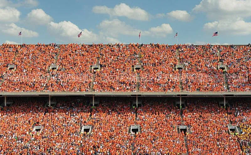 活力四射的户外运动盛事：展示户外摄影之美和赛事激情的图片精选