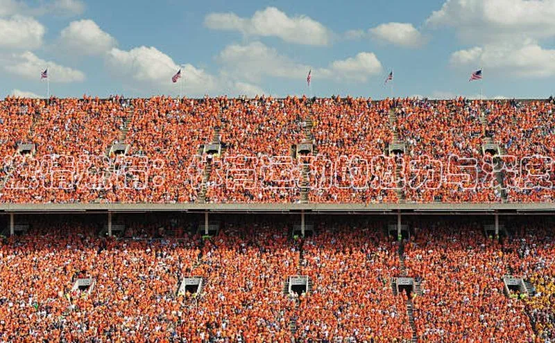 激情燃情：体育运动的魅力与深度