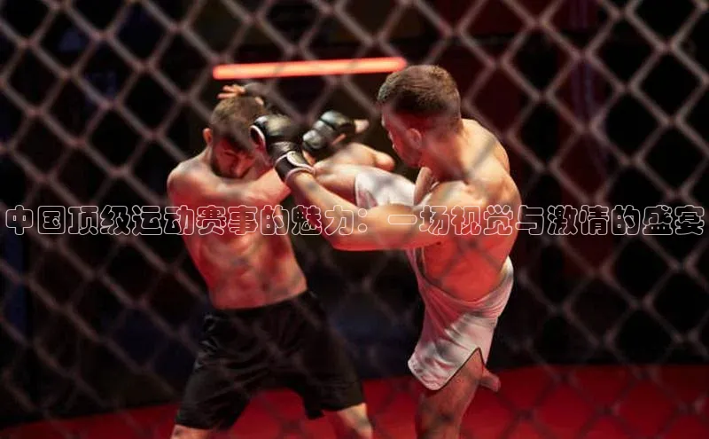 中国顶级运动赛事的魅力：一场视觉与激情的盛宴