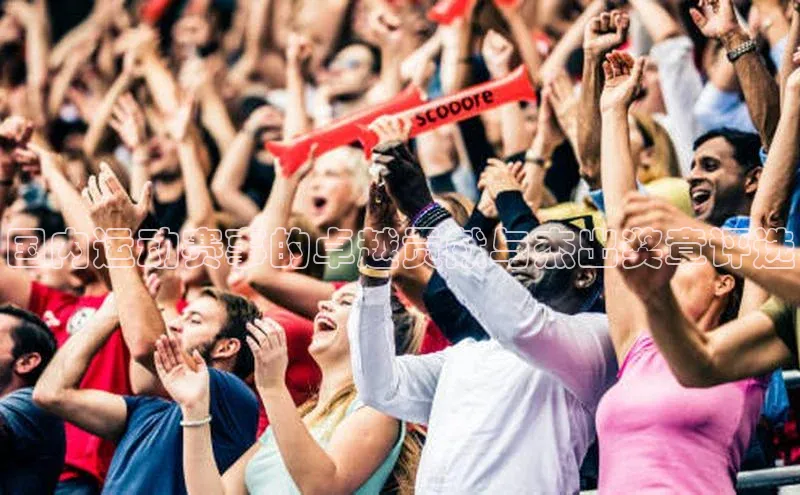 国内运动赛事的卓越贡献与杰出奖章评选