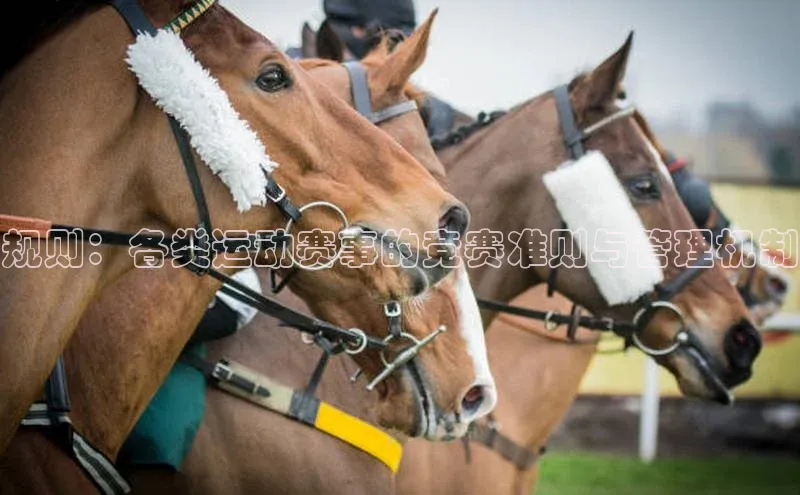 星欧平台个人登录入口