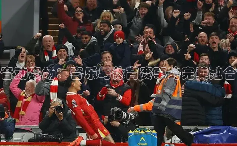 星欧网页登录入口