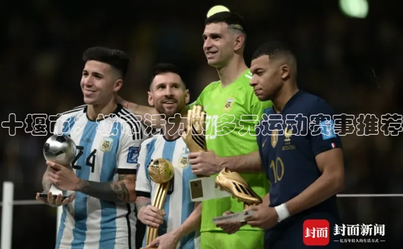 星欧官方网站登录入口