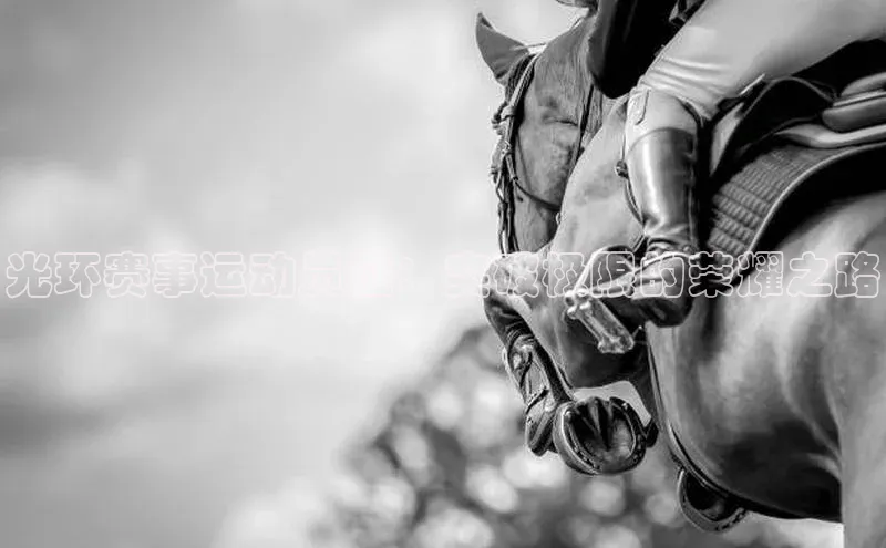 星欧平台登陆入口