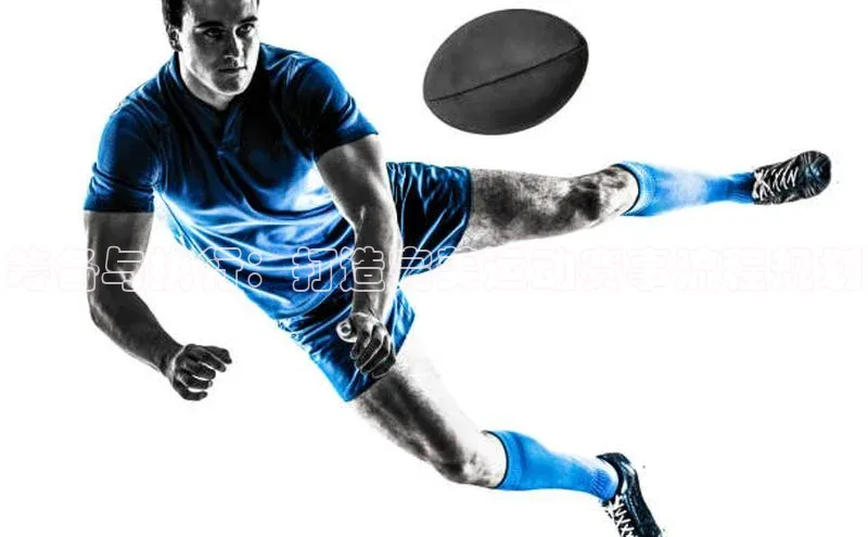 星欧官方网站登录入口